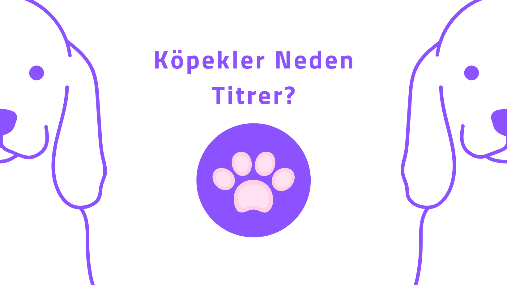 Köpekler Neden Titrer?